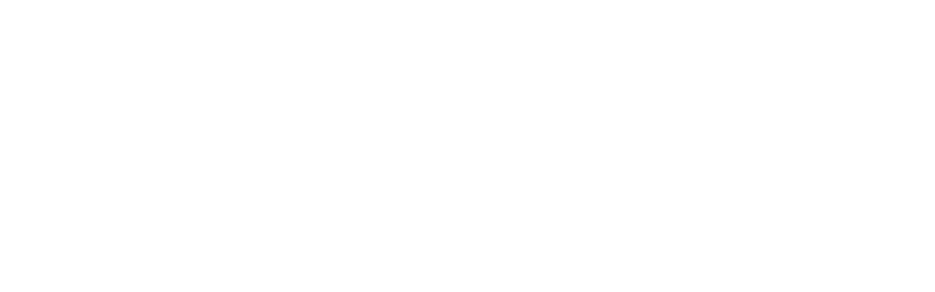 SalesSeek Logo